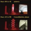 【B25】Penis massage oil